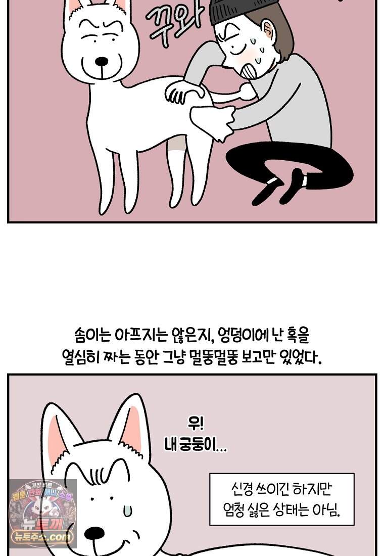 극한견주 시즌2 153화 의문의 혹 12