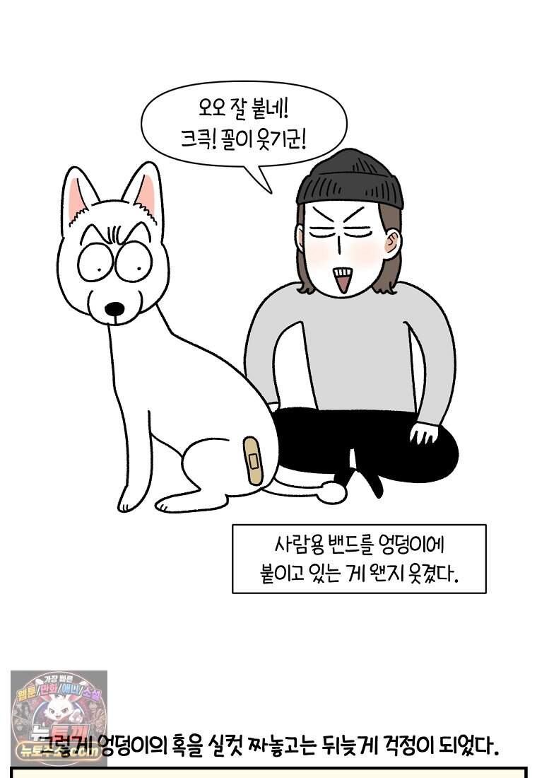 극한견주 시즌2 153화 의문의 혹 18