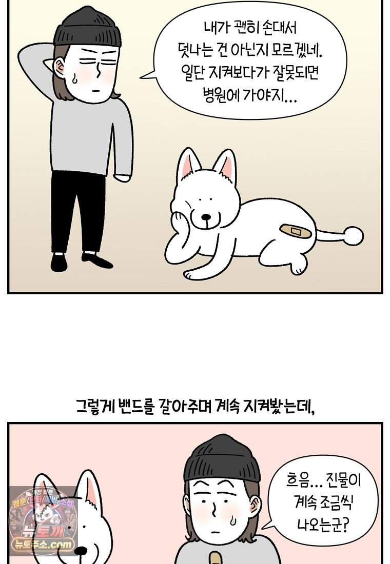 극한견주 시즌2 153화 의문의 혹 19