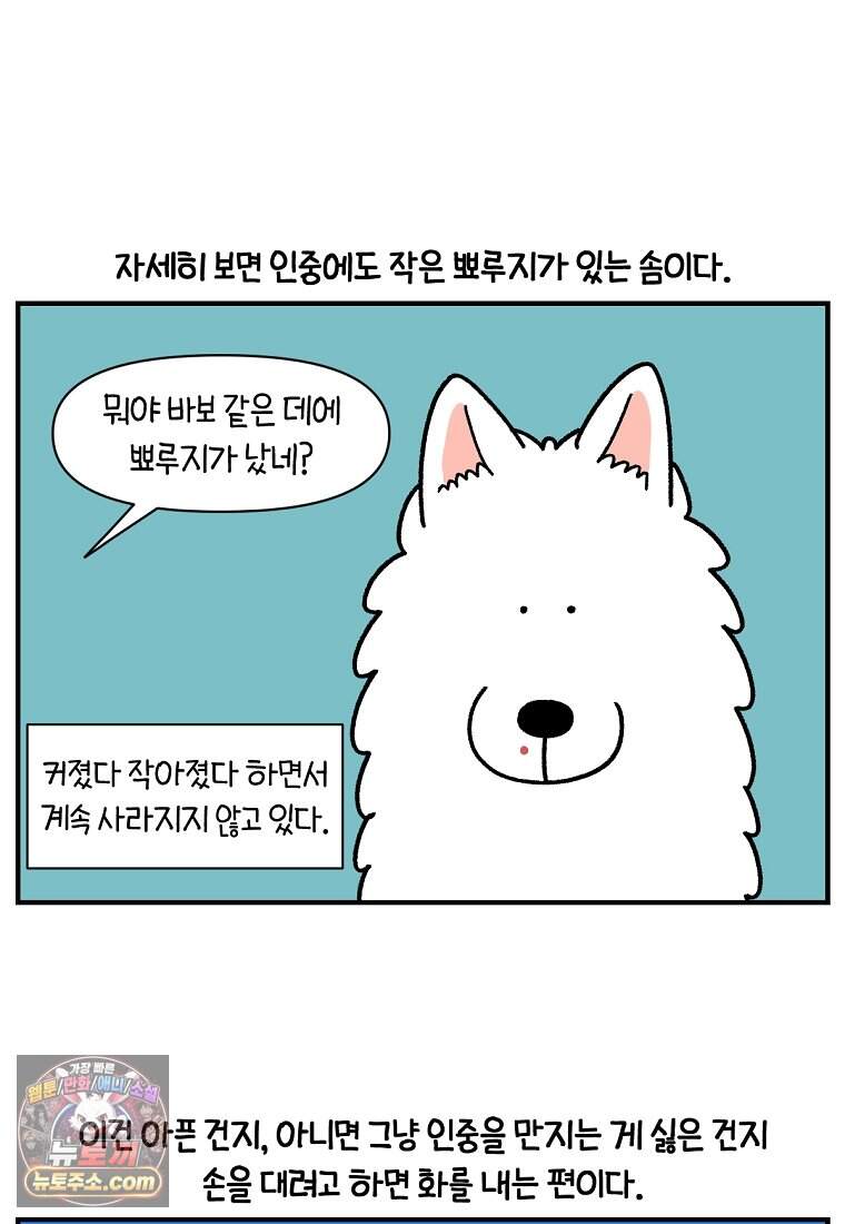 극한견주 시즌2 153화 의문의 혹 23