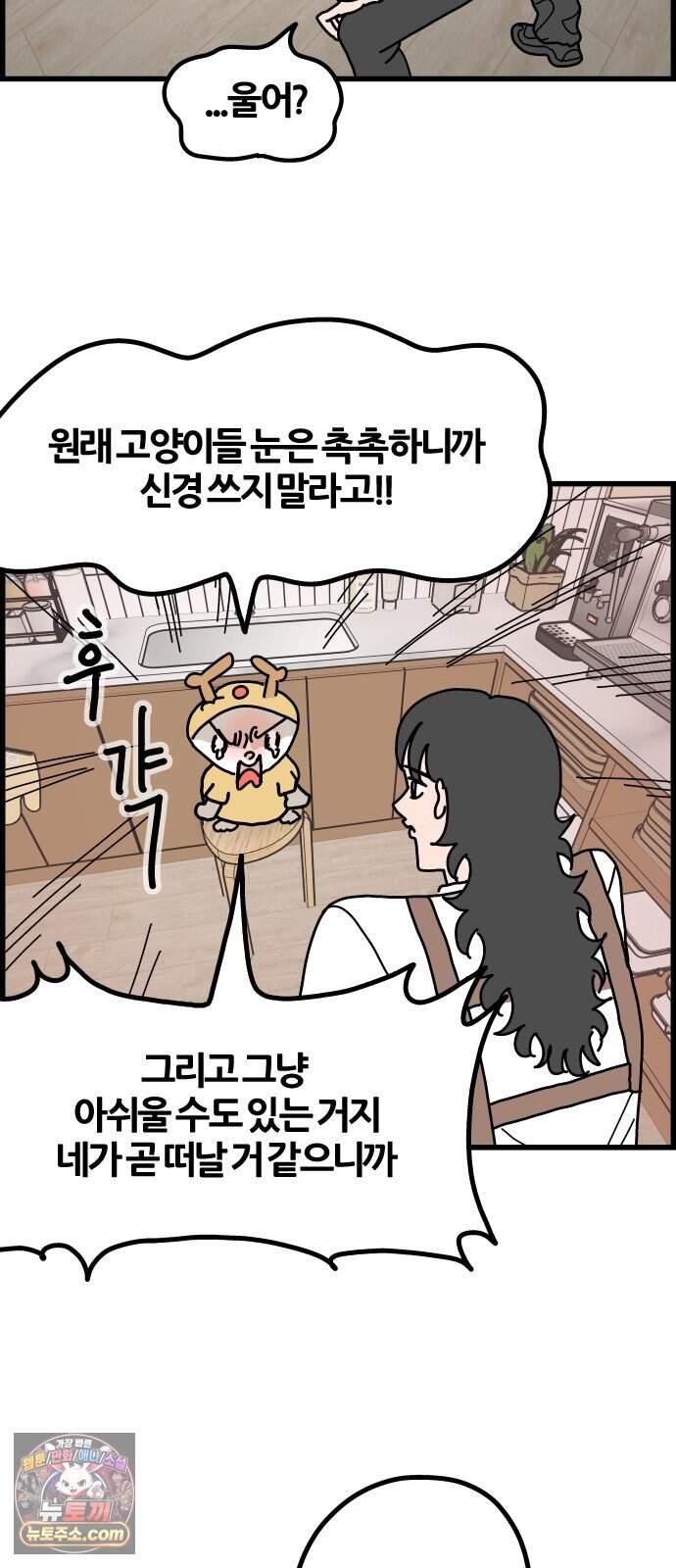 사회초년캣 29화 전조 3