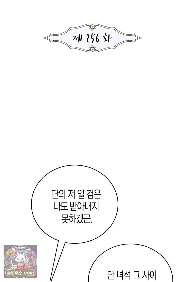 사신 영웅전: 바보 마법사 영웅이 되다 256화 2