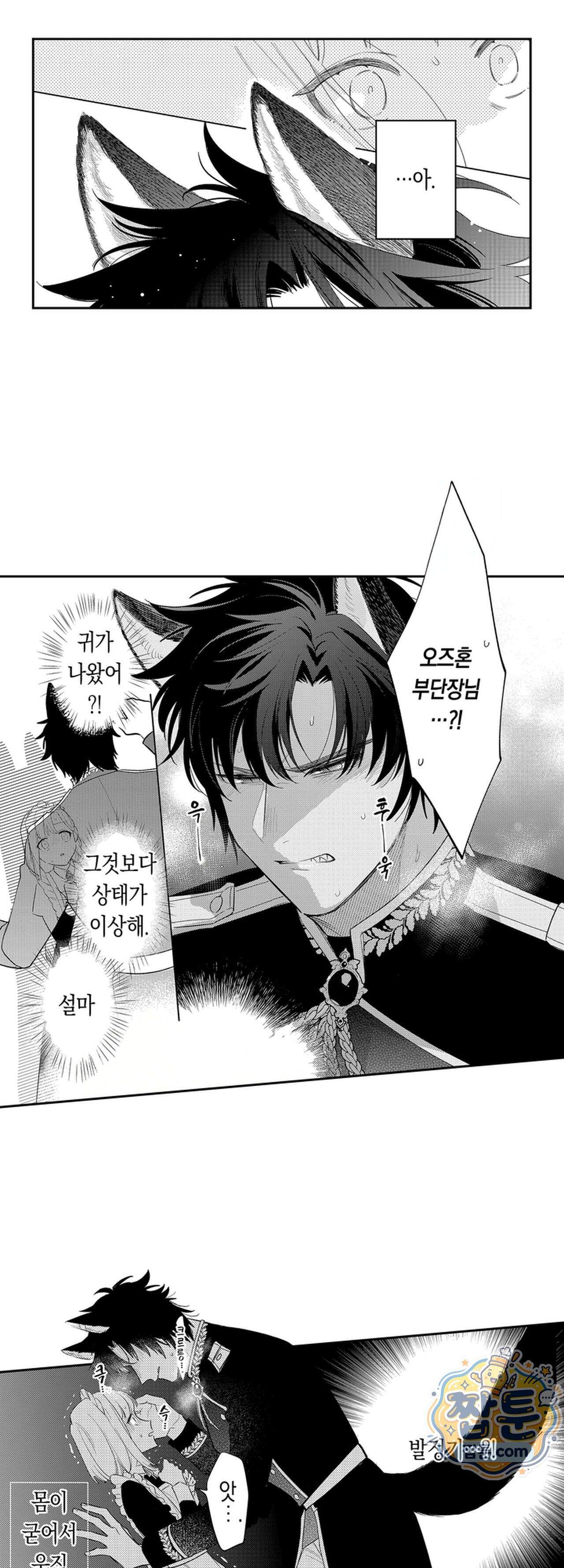 늑대 기사님이 나를 너무 좋아합니다! 2화 2