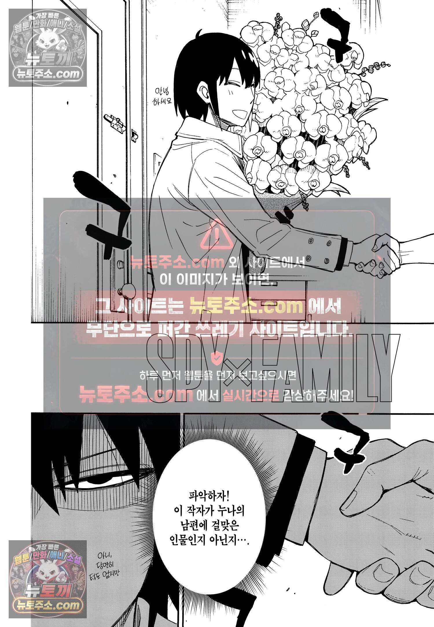 스파이 패밀리 MISSION : 12 4