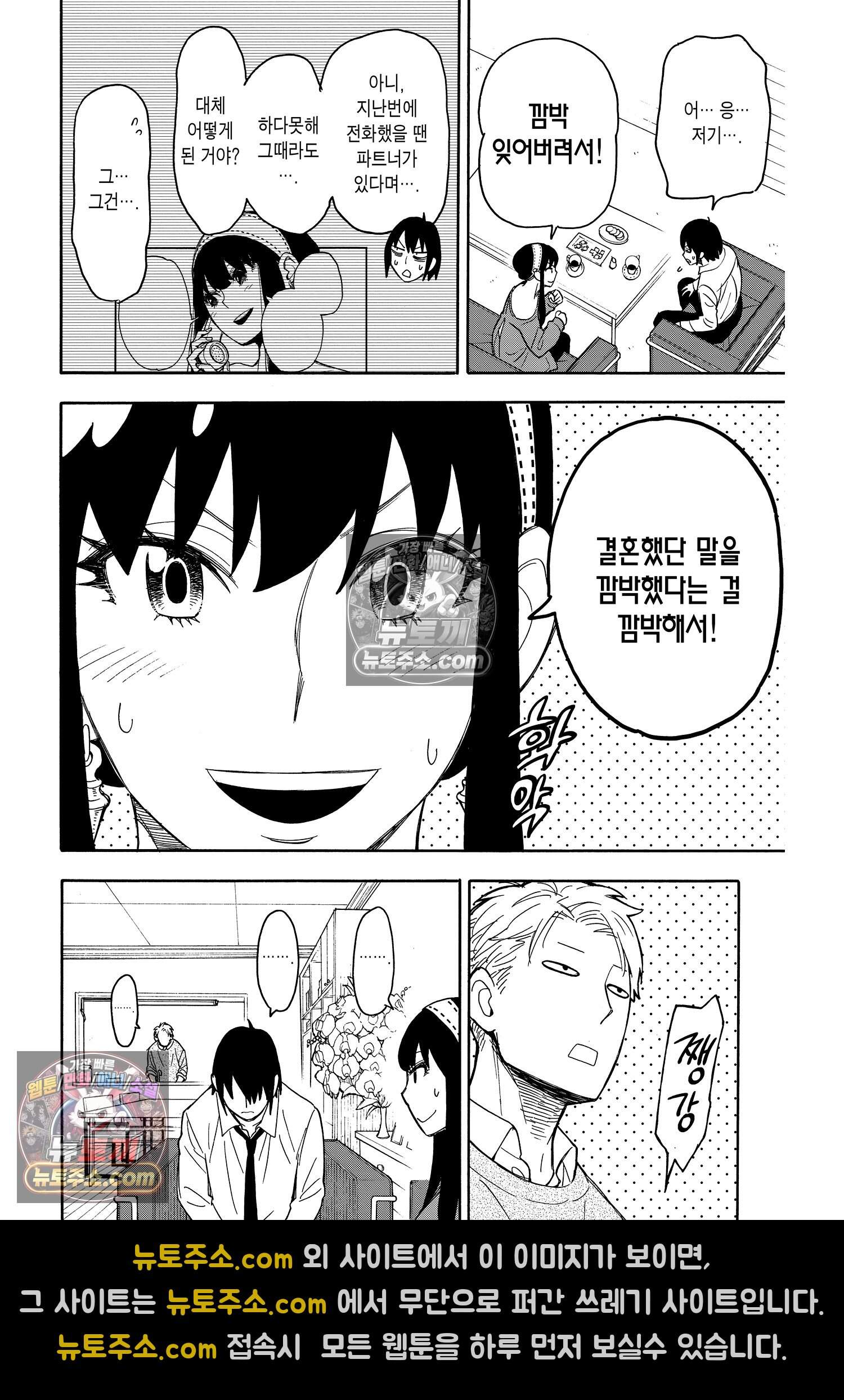 스파이 패밀리 MISSION : 12 9
