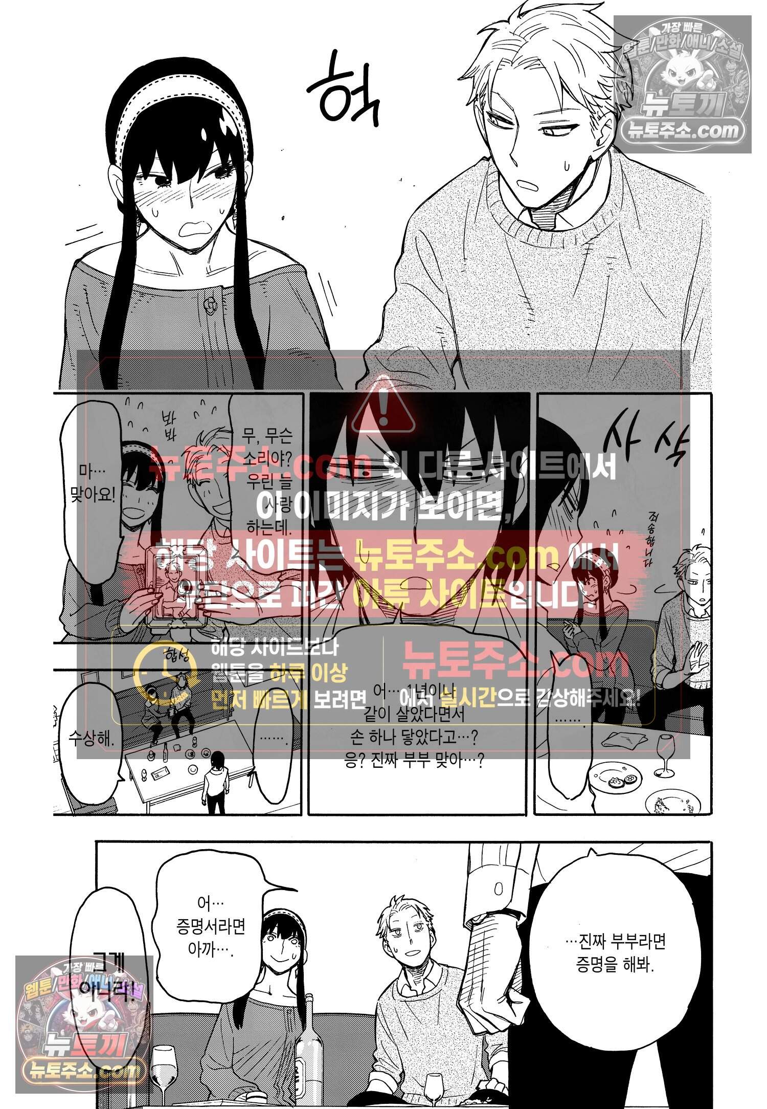 스파이 패밀리 MISSION : 12 24