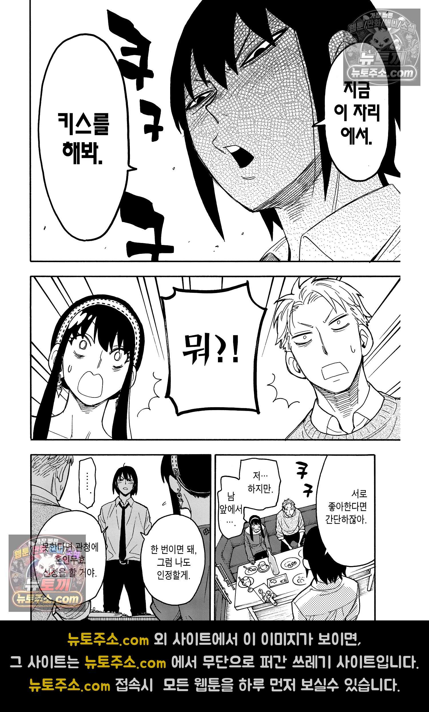 스파이 패밀리 MISSION : 12 25