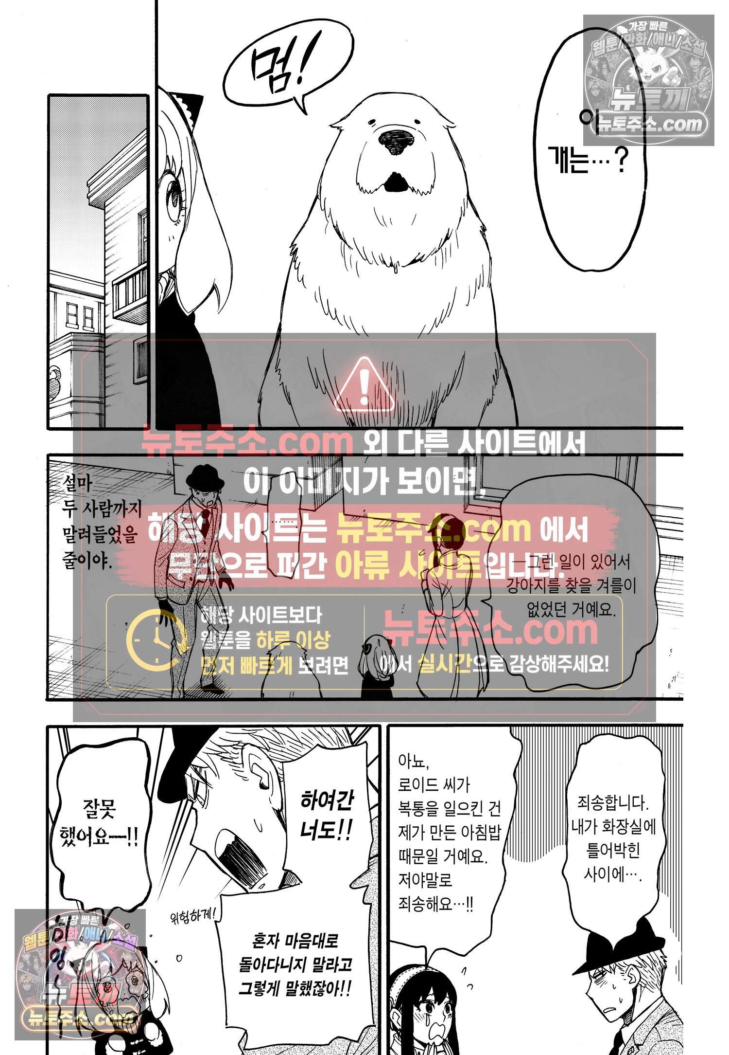 스파이 패밀리 MISSION : 22 13