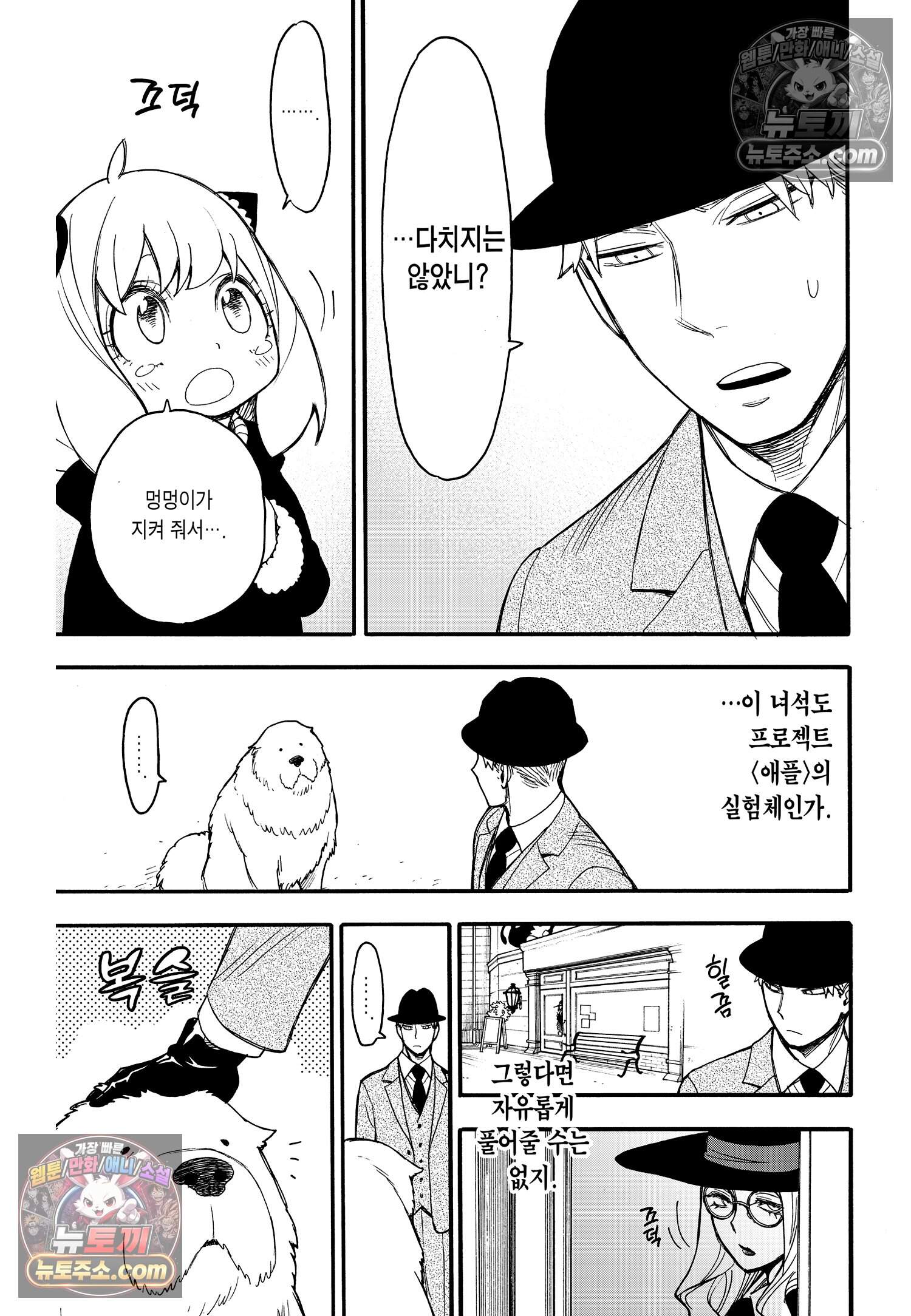 스파이 패밀리 MISSION : 22 14