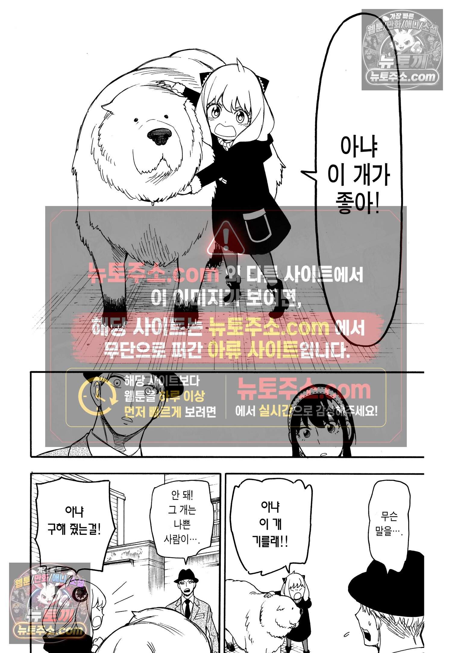 스파이 패밀리 MISSION : 22 17