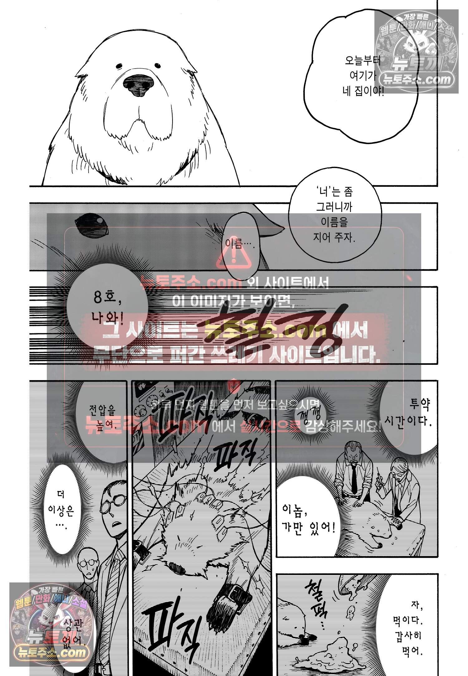 스파이 패밀리 MISSION : 22 26