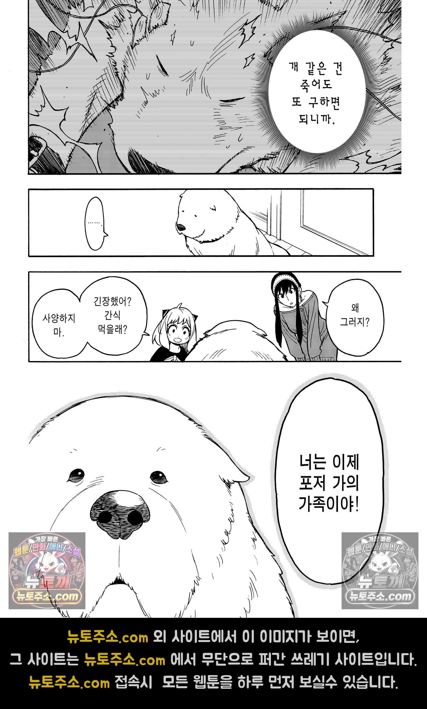 스파이 패밀리 MISSION : 22 27