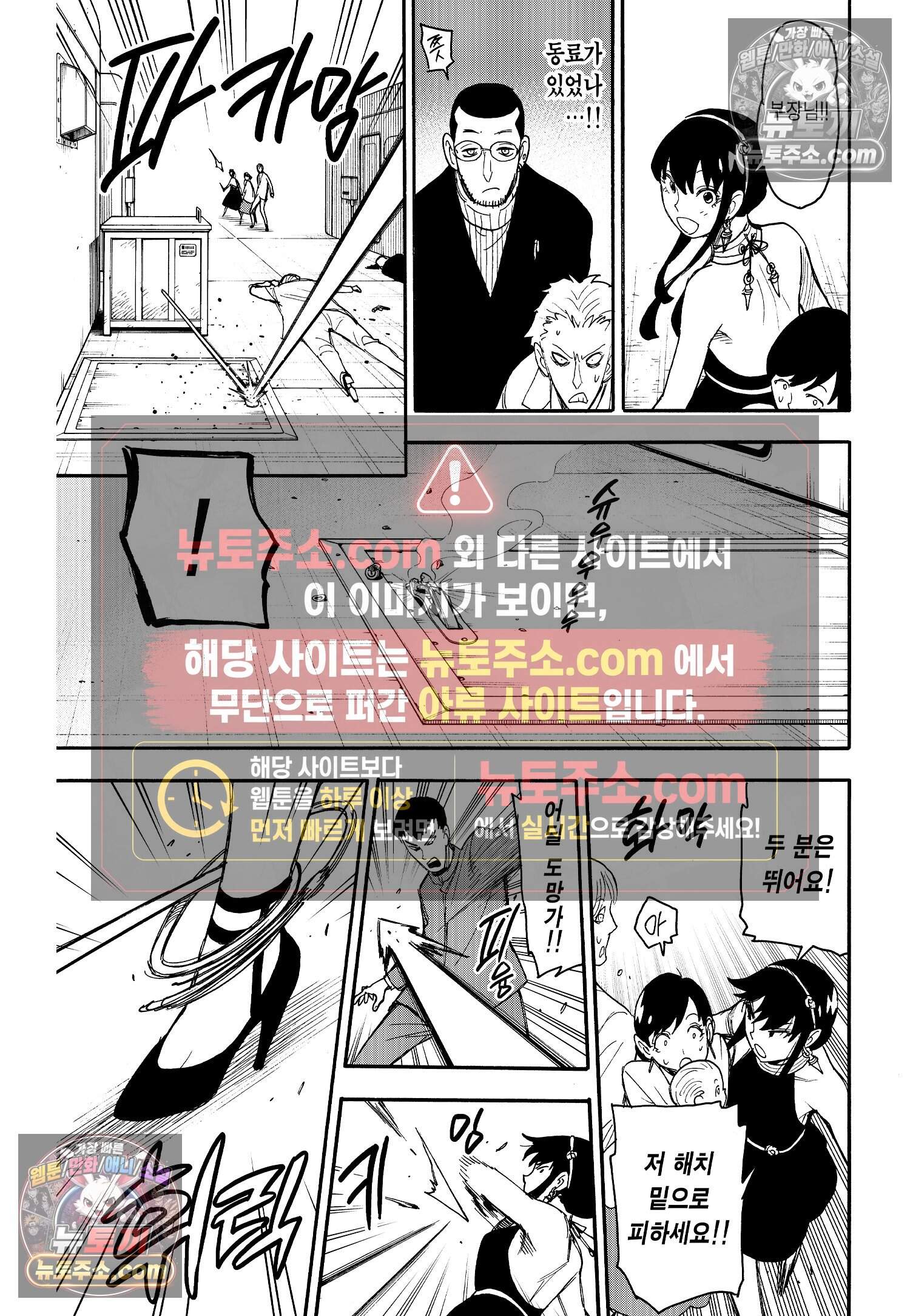스파이 패밀리 MISSION : 52 4