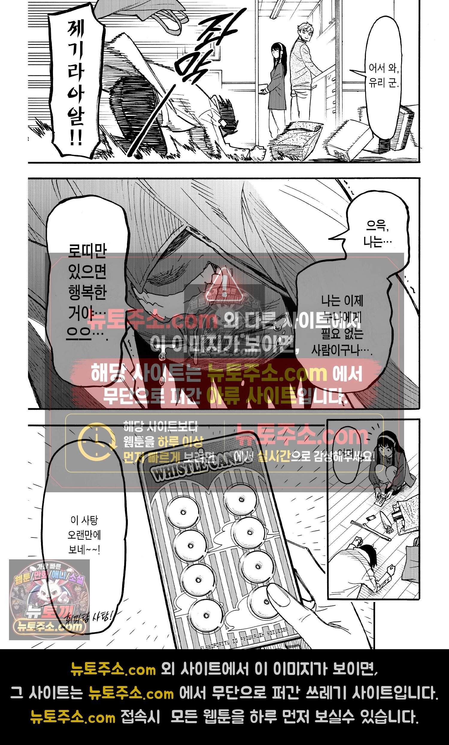 스파이 패밀리 MISSION : 68 16