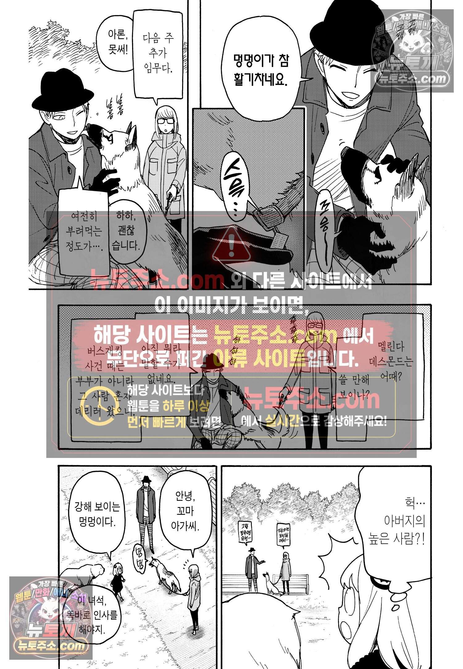 스파이 패밀리 MISSION : 78 10