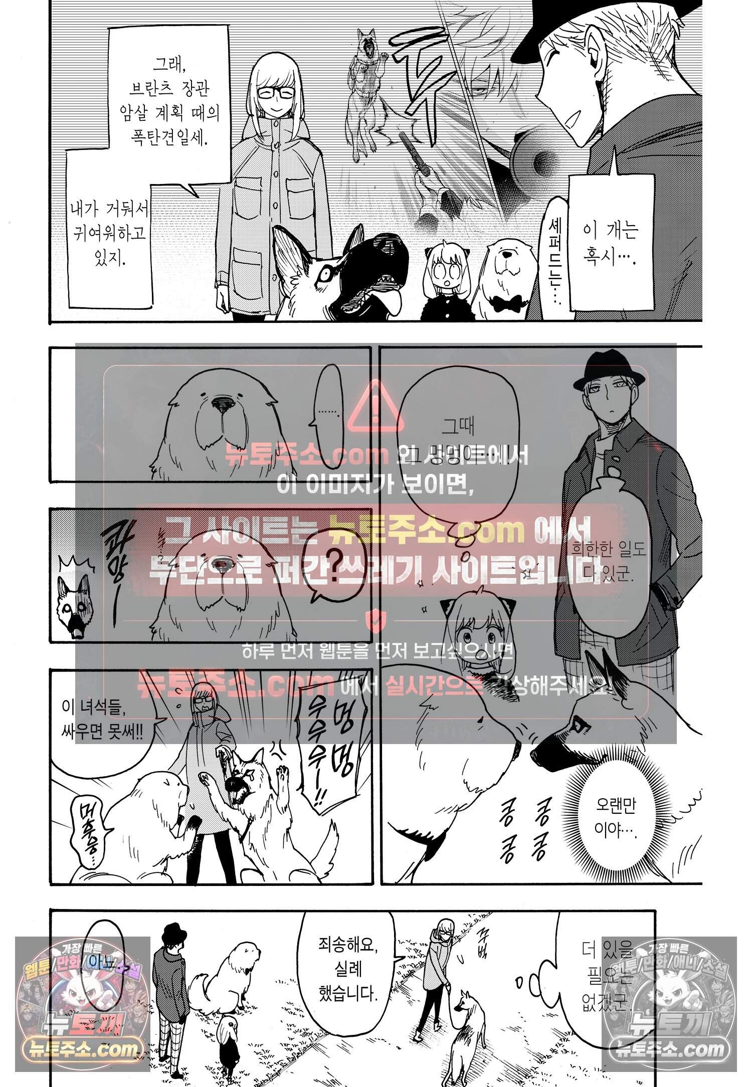스파이 패밀리 MISSION : 78 11
