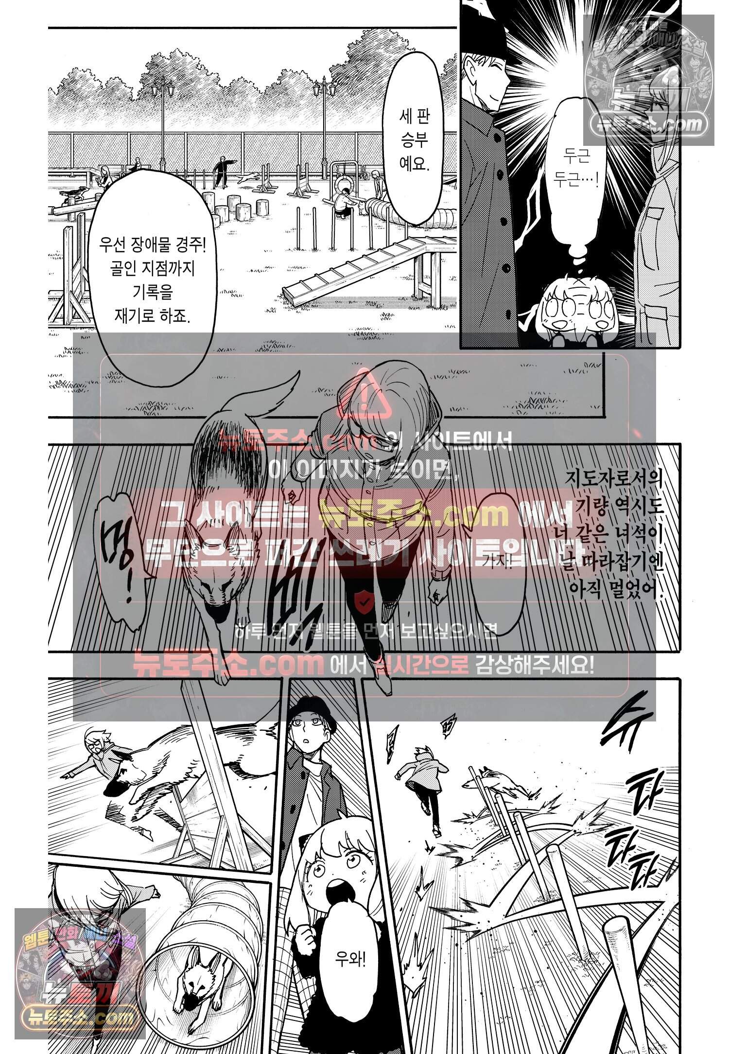 스파이 패밀리 MISSION : 78 14