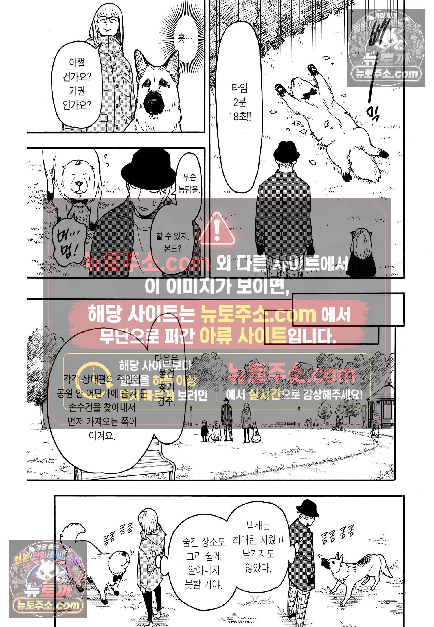 스파이 패밀리 MISSION : 78 16