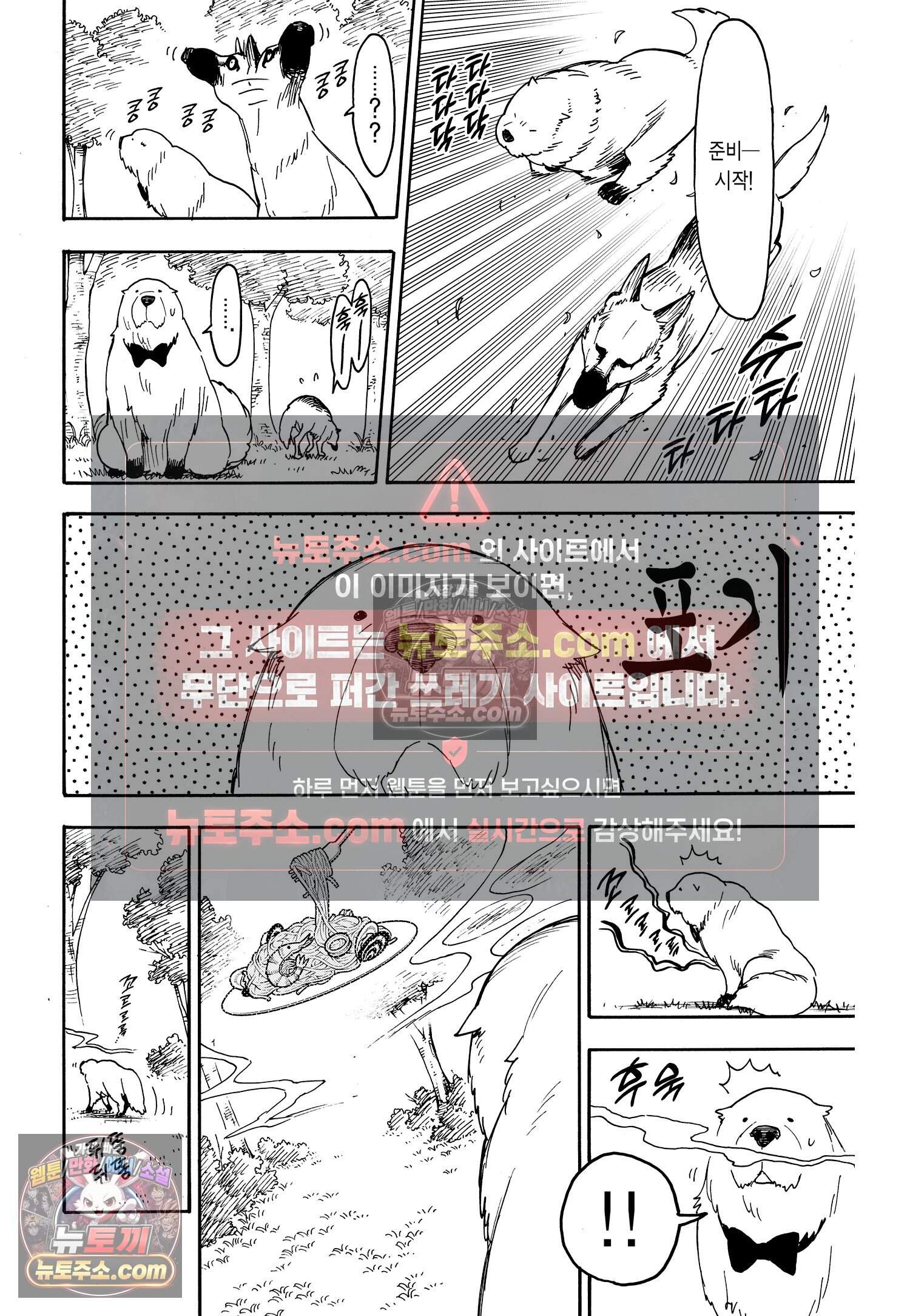 스파이 패밀리 MISSION : 78 17
