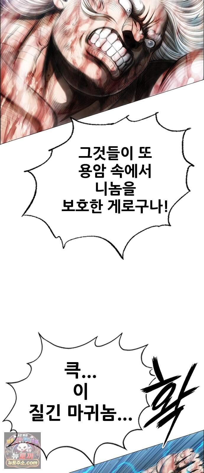 호랑이형님 3부123화 철의 번개2 5