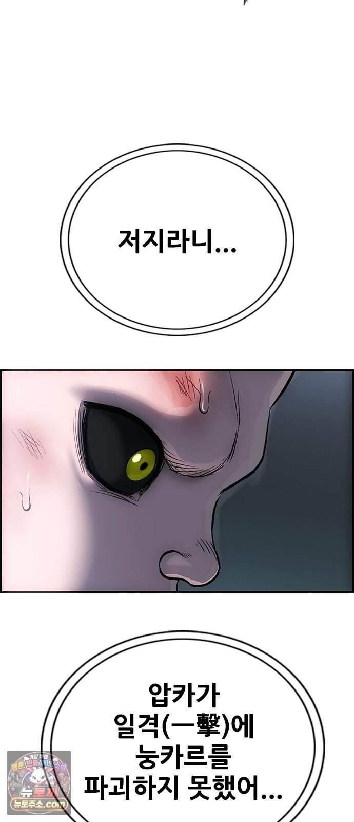 호랑이형님 3부123화 철의 번개2 40