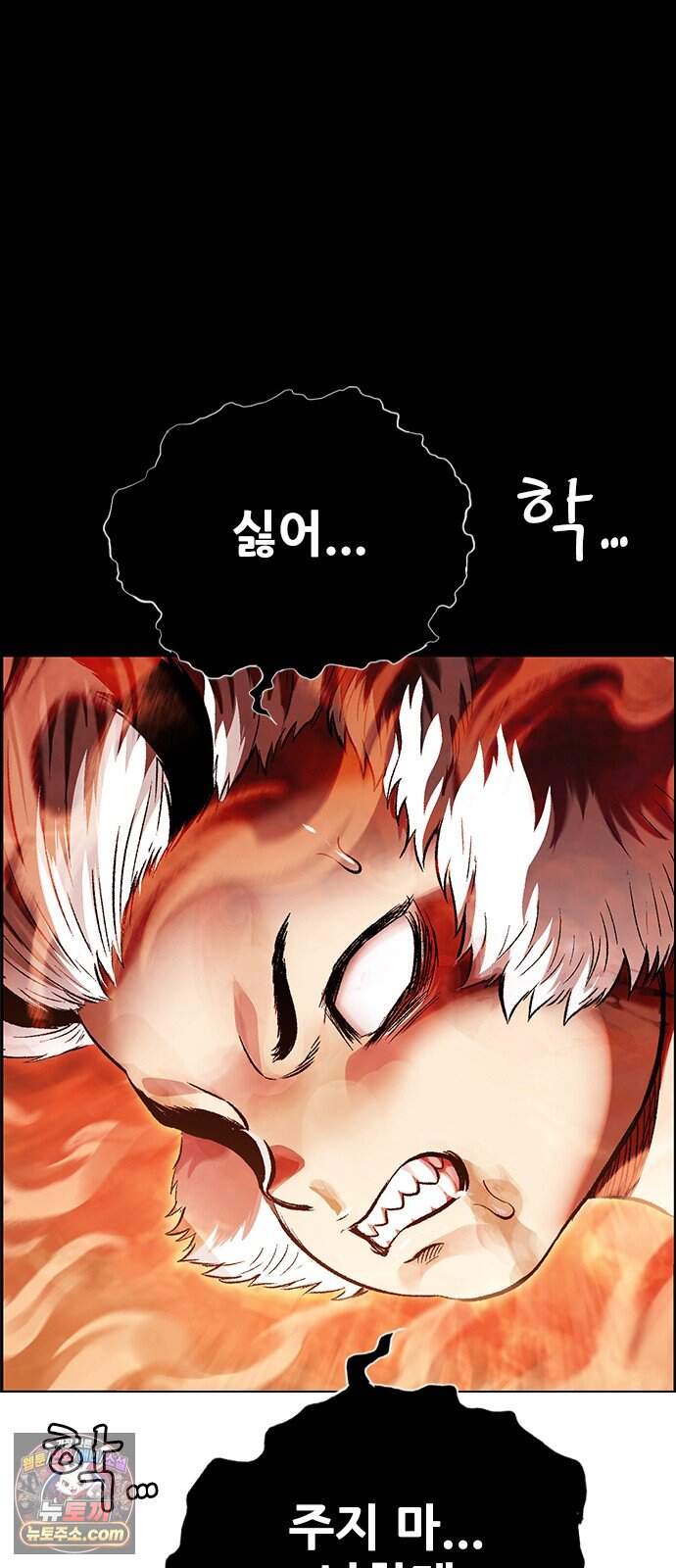 호랑이형님 3부123화 철의 번개2 85
