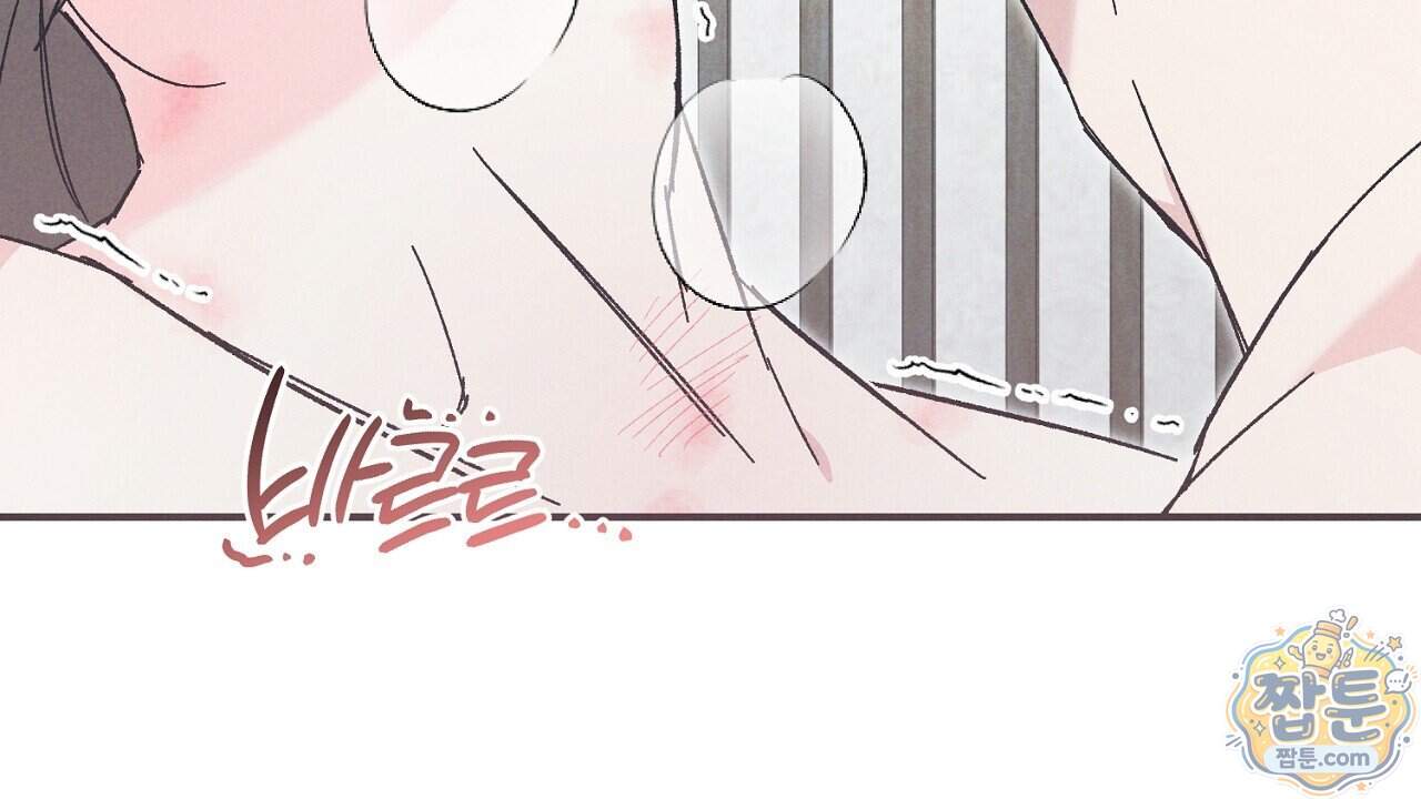 백송의 꽃말 47화 46