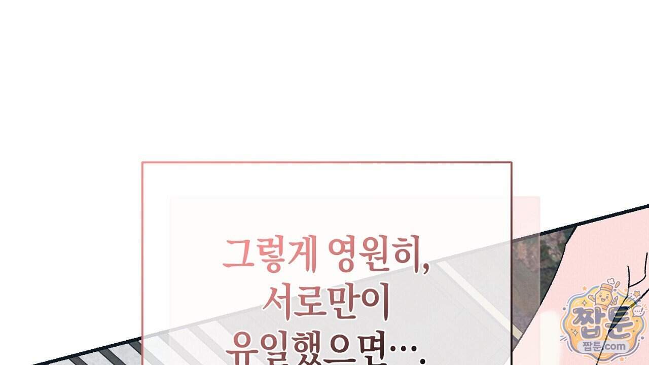 백송의 꽃말 47화 116