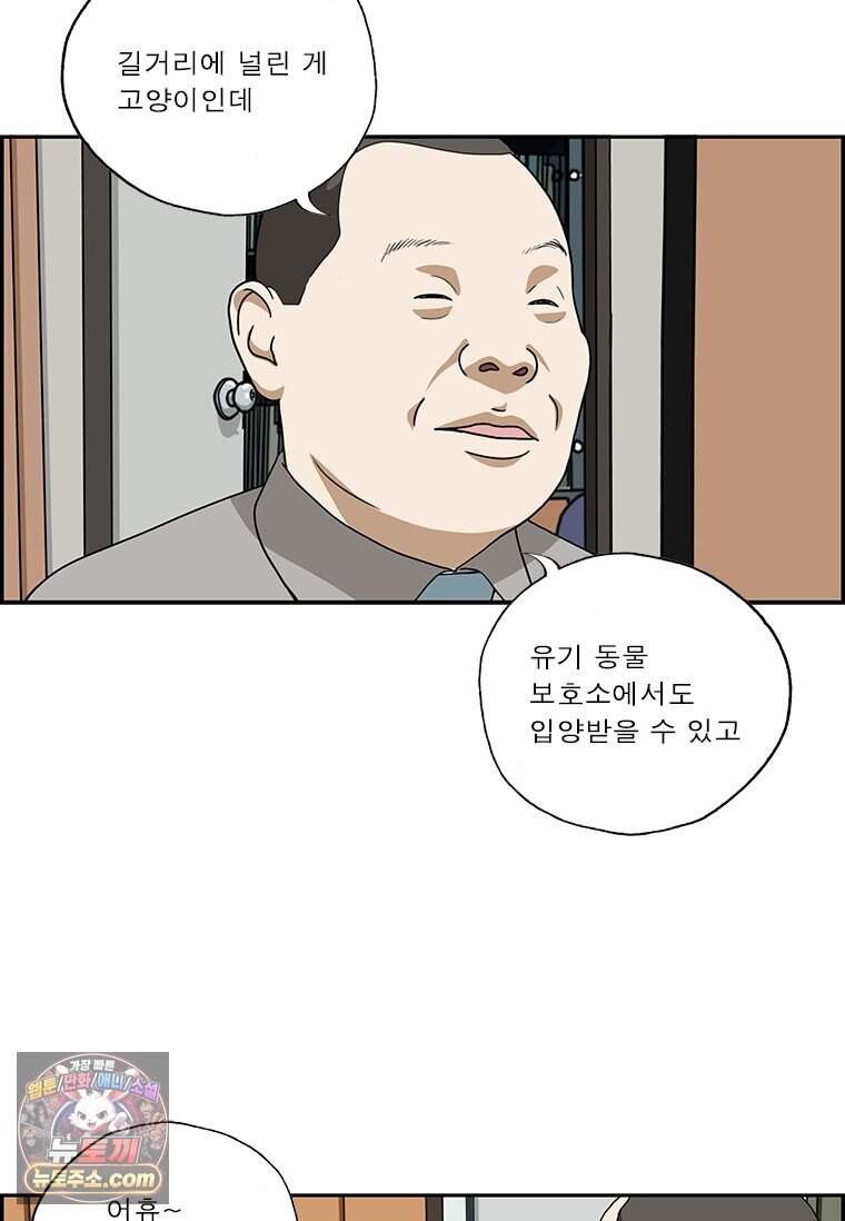 달마부장 시즌2 553화 애완 모기 5
