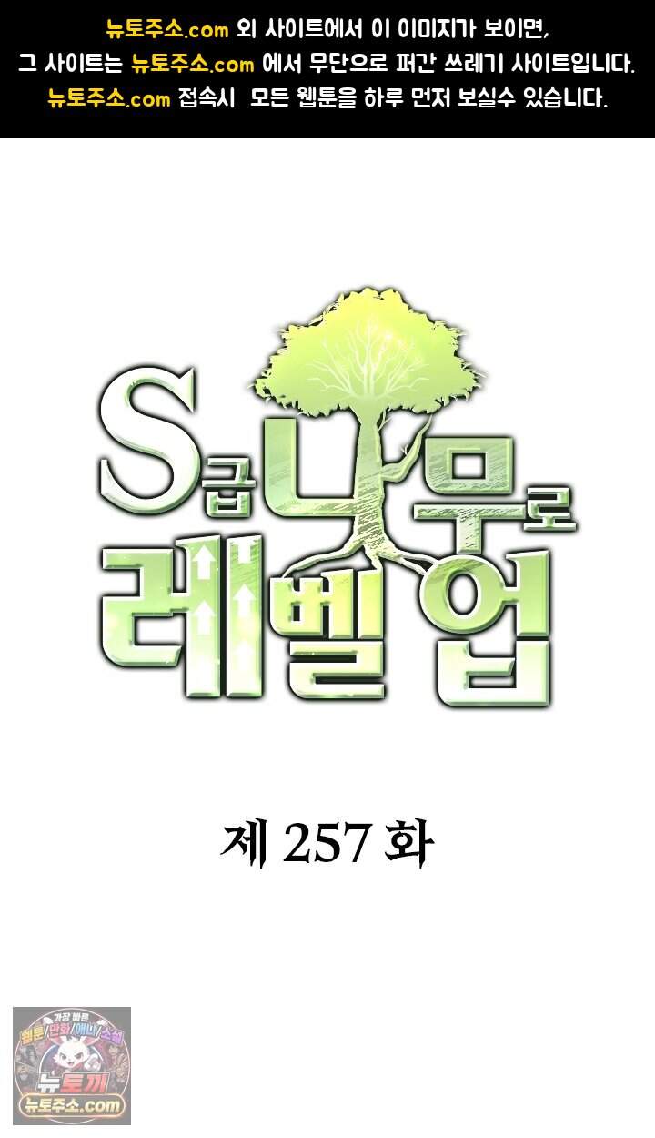 S급 나무로 레벨업 257화 1
