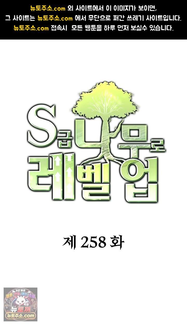 S급 나무로 레벨업 258화 1