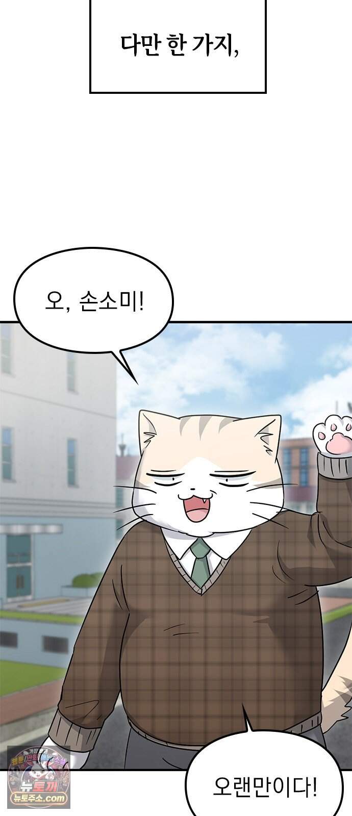 세상 사람들이 모두가 고양이라면 17화 14