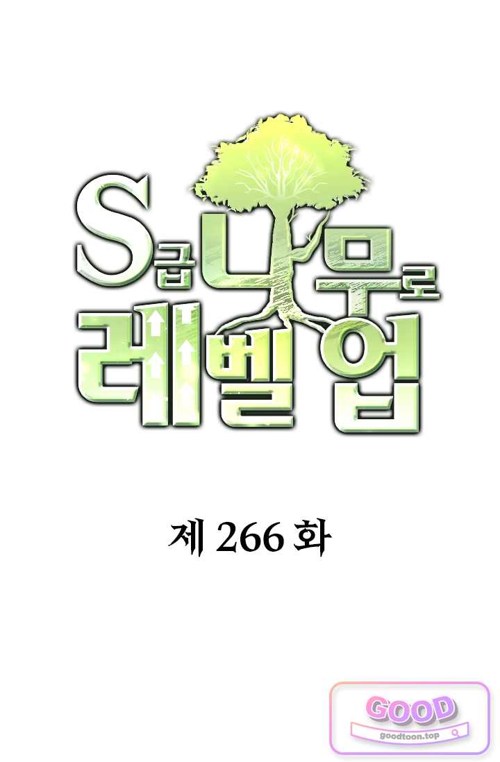 S급 나무로 레벨업 266화 1