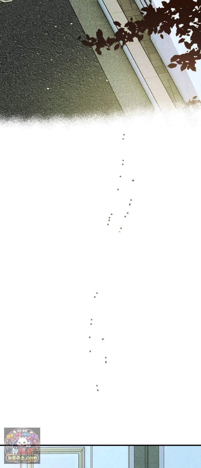 챗윗미 22화 12