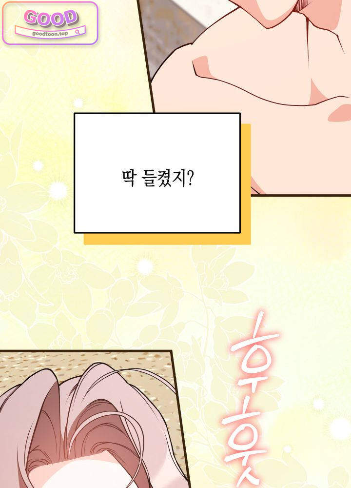 바이올렛 체로타의 졸속 결혼 16화 11