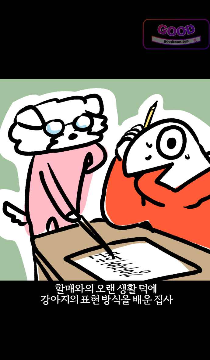 개집사 229화 뭐라고? -2 1