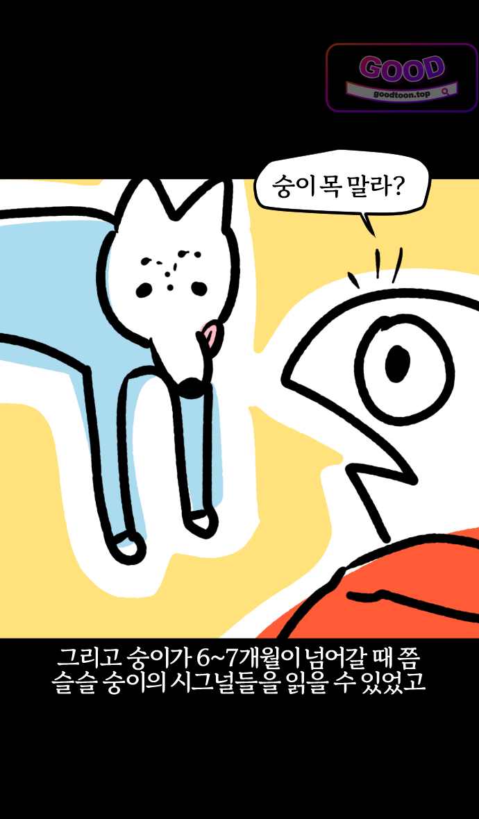 개집사 229화 뭐라고? -2 5