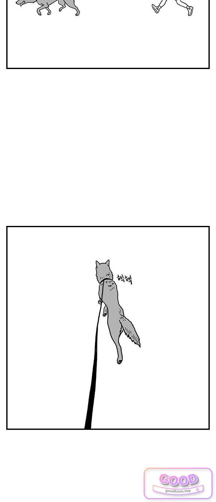 펫로스클럽 54. 깐돌이에게 2