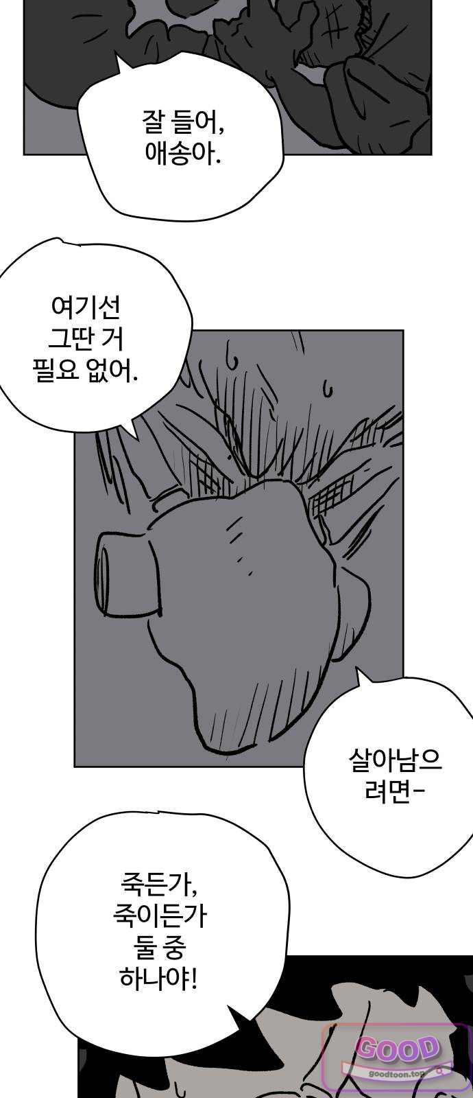 뻐꾸기는 운다 19 10