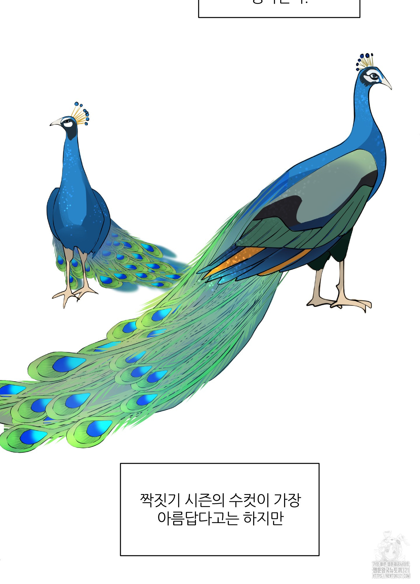 행방불명 로맨스 22화 88