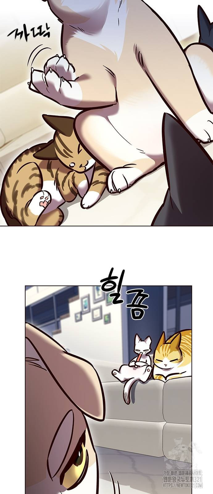 일렉시드 280화 6