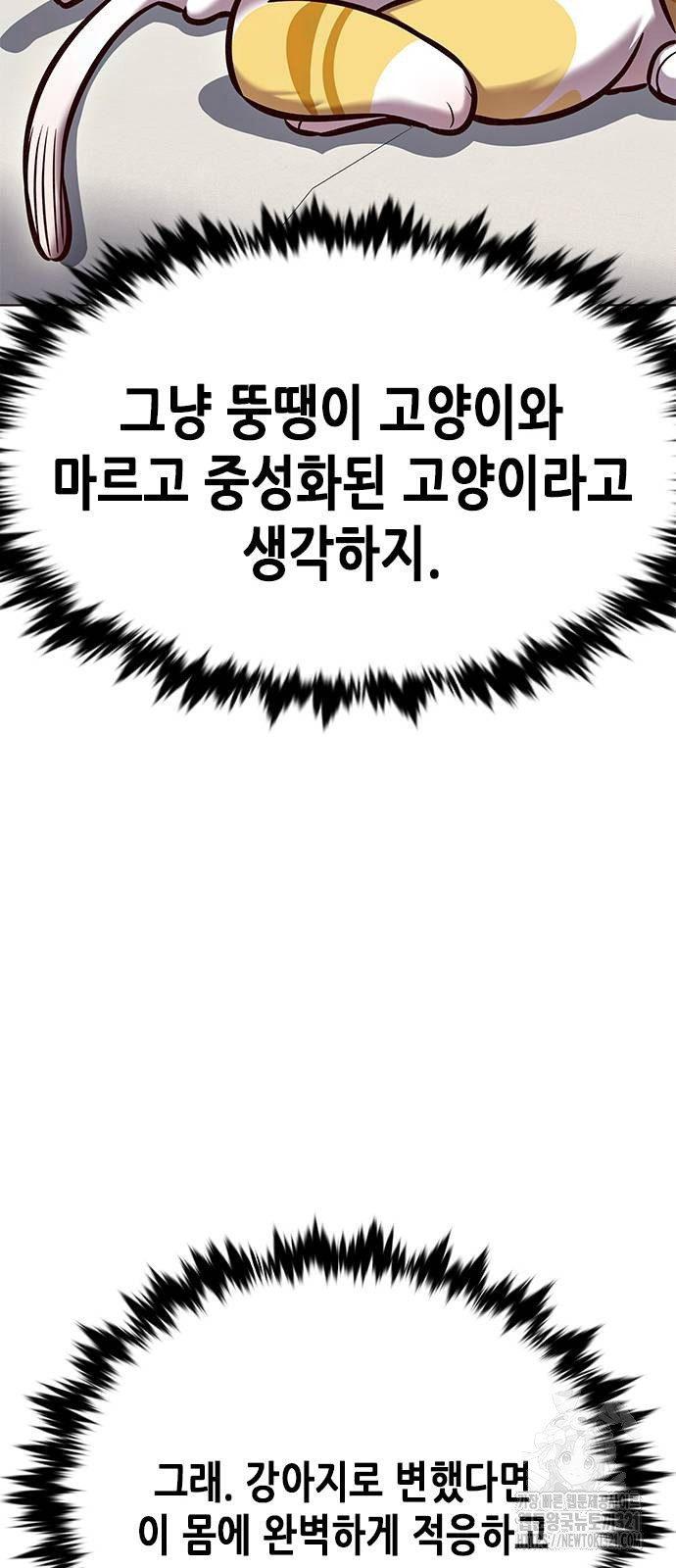 일렉시드 280화 11
