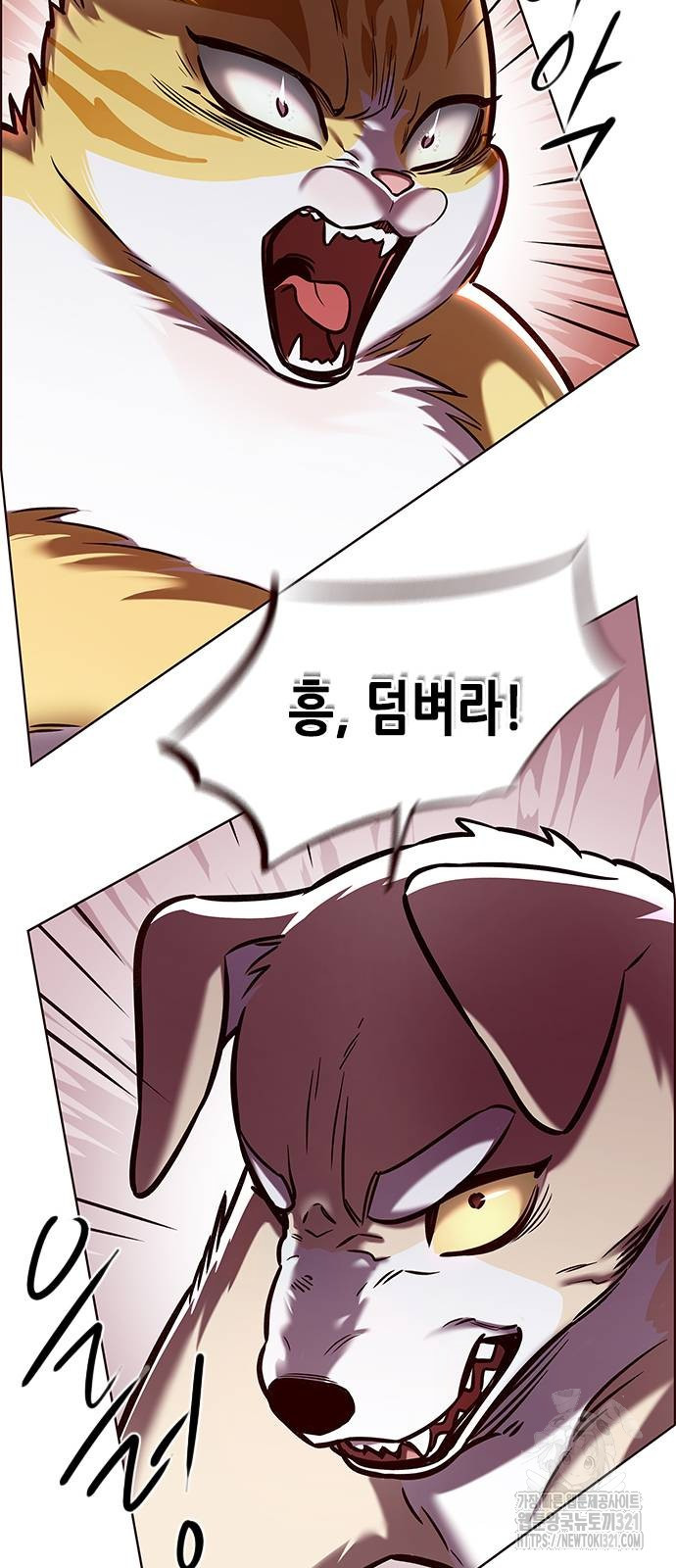 일렉시드 280화 85