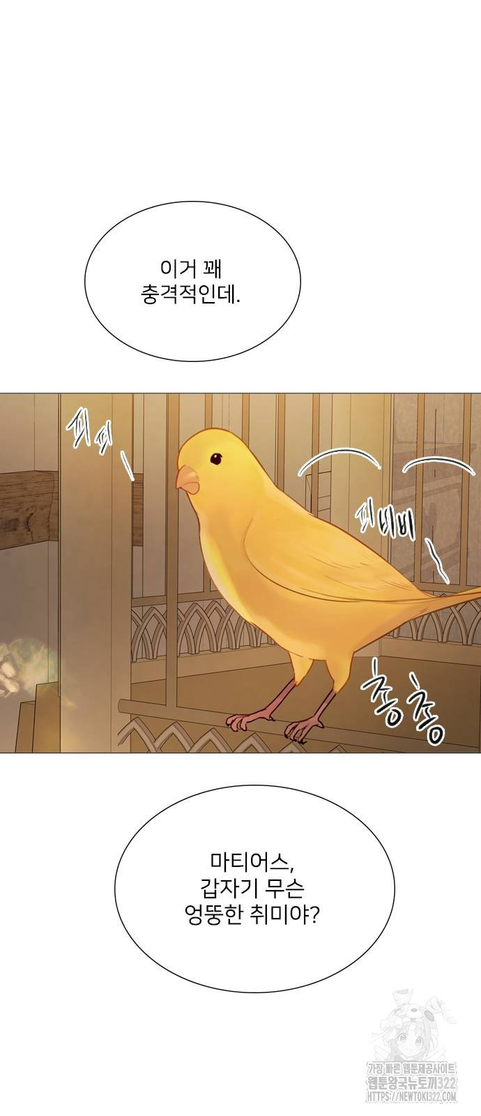 울어 봐, 빌어도 좋고 21화 11