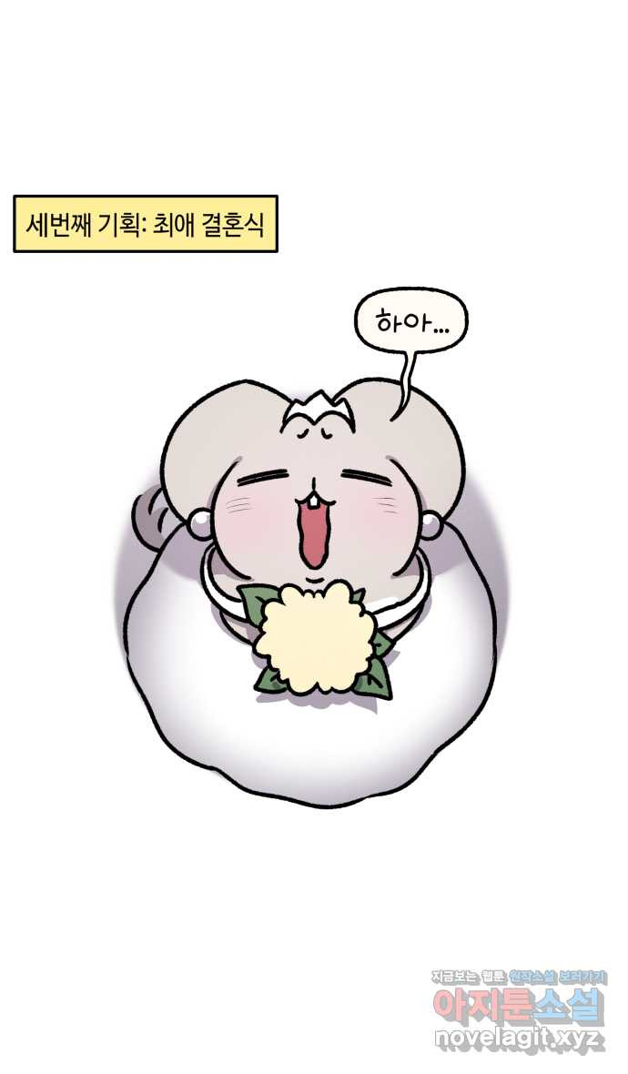 안녕, 나의 수집 111. 부케 (3) 4