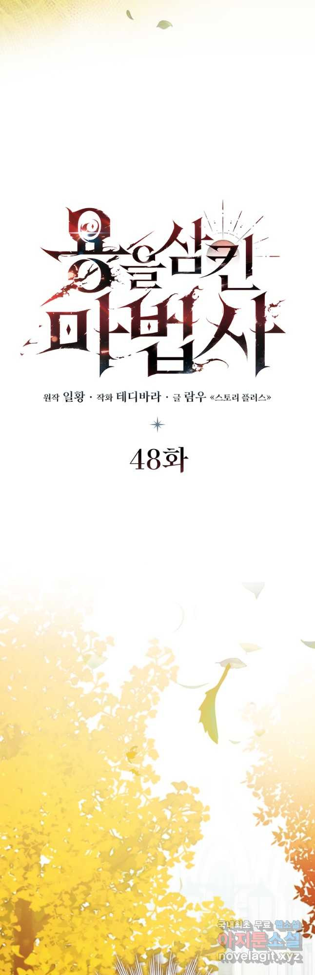 용을 삼킨 마법사 48화 19