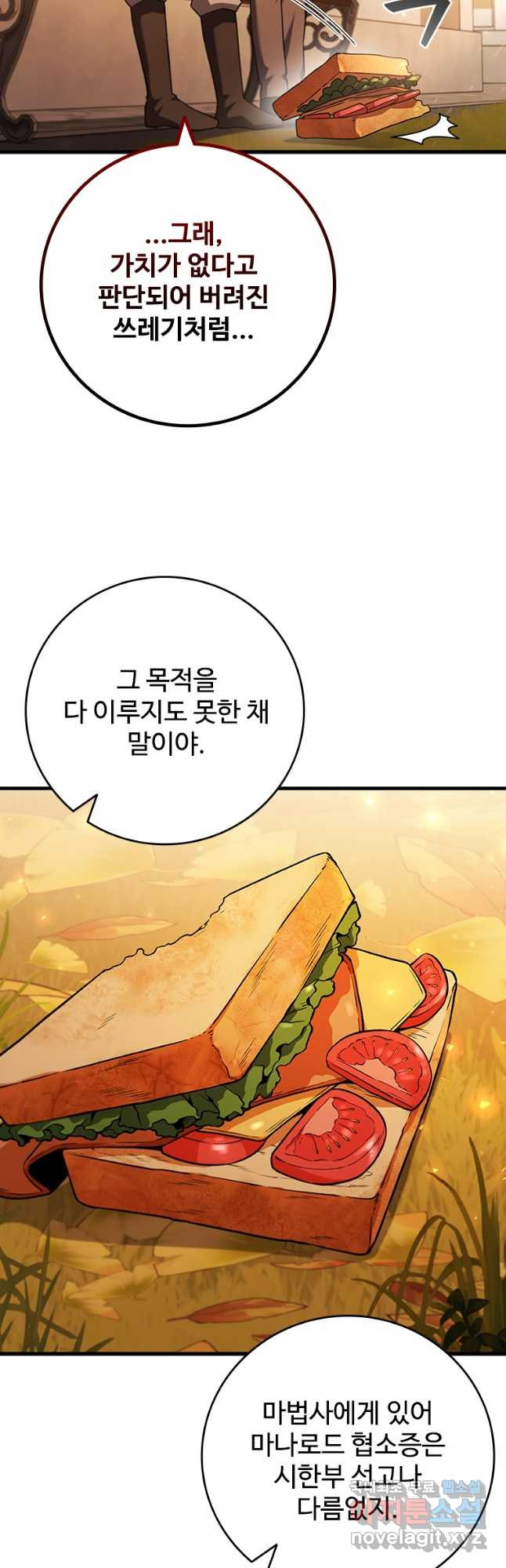 용을 삼킨 마법사 48화 40