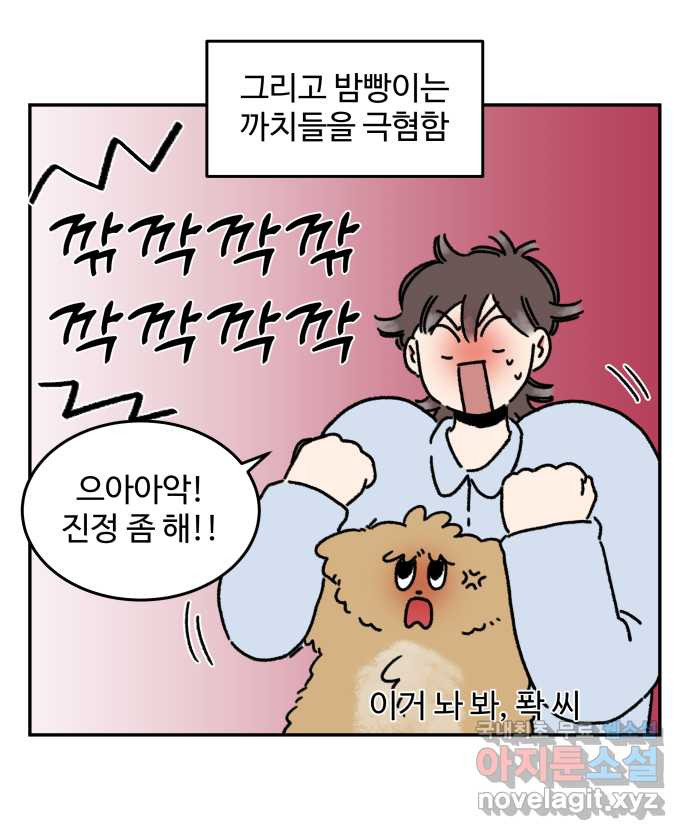 강아지는 멍멍하고 짖지 않아! 67화 - 밤빵이의 숙적 10