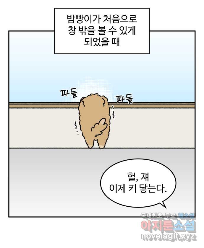 강아지는 멍멍하고 짖지 않아! 67화 - 밤빵이의 숙적 11