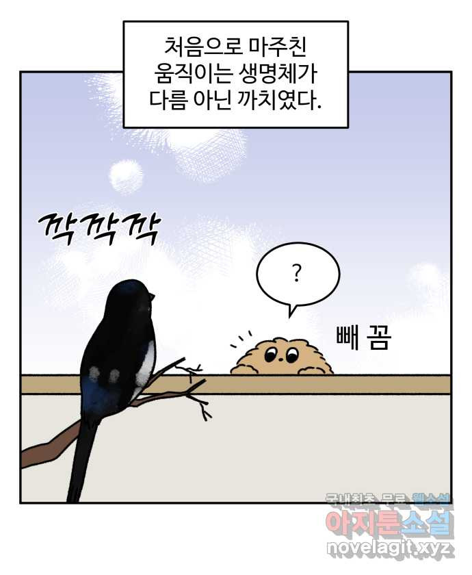 강아지는 멍멍하고 짖지 않아! 67화 - 밤빵이의 숙적 12
